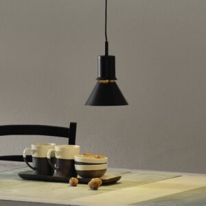 Anglepoise Type 80 závesná lampa