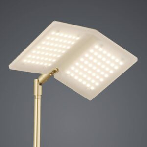 BANKAMP Book stojaca LED lampa