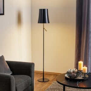 Foscarini Birdie LED Lettura stojaca lampa grafit