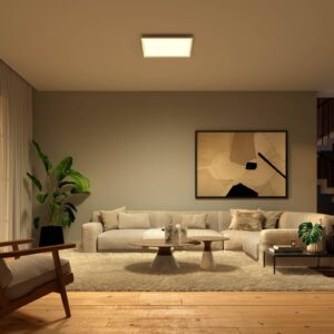 Philips Hue Surimu LED panel