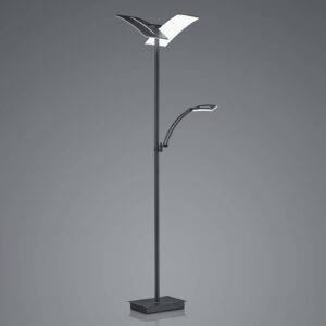 Stojacia LED lampa Dual