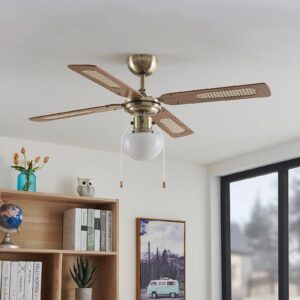 Stropný ventilátor Lindby so svetlom Rakan